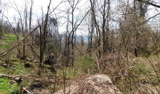 Photo #13 of US Hwy 19, Lebanon, VA 275.0 acres