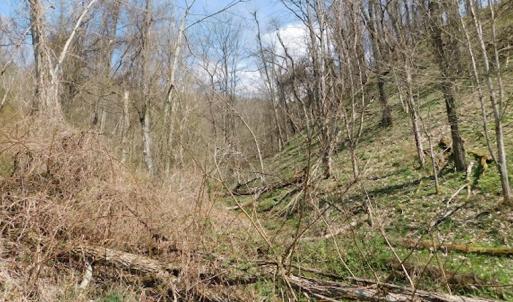 Photo #14 of US Hwy 19, Lebanon, VA 275.0 acres