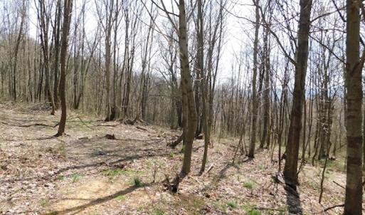 Photo #15 of US Hwy 19, Lebanon, VA 275.0 acres