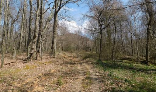 Photo #16 of US Hwy 19, Lebanon, VA 275.0 acres