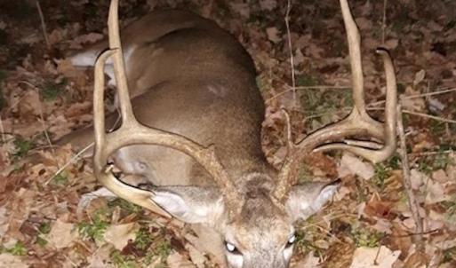 Photo #20 of US Hwy 19, Lebanon, VA 275.0 acres