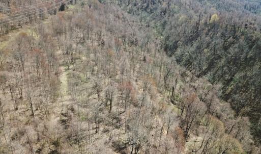 Photo #22 of US Hwy 19, Lebanon, VA 275.0 acres