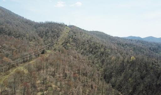 Photo #23 of US Hwy 19, Lebanon, VA 275.0 acres