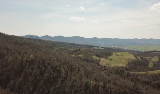Photo #24 of US Hwy 19, Lebanon, VA 275.0 acres