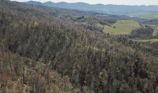 Photo #25 of US Hwy 19, Lebanon, VA 275.0 acres
