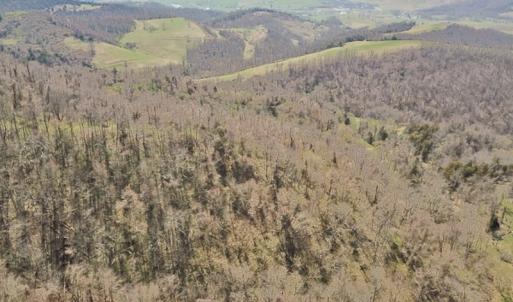 Photo #26 of US Hwy 19, Lebanon, VA 275.0 acres