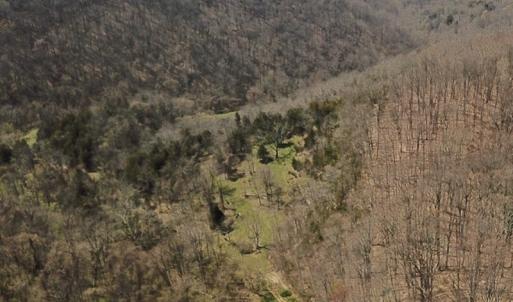Photo #27 of US Hwy 19, Lebanon, VA 275.0 acres