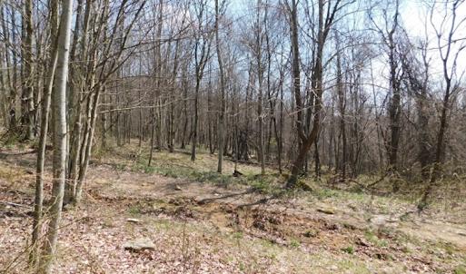 Photo #5 of US Hwy 19, Lebanon, VA 275.0 acres