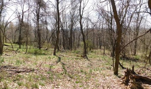 Photo #6 of US Hwy 19, Lebanon, VA 275.0 acres