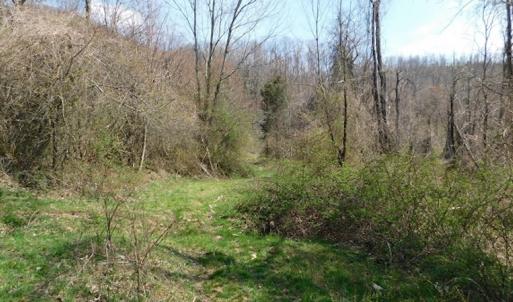 Photo #7 of US Hwy 19, Lebanon, VA 275.0 acres