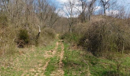 Photo #8 of US Hwy 19, Lebanon, VA 275.0 acres