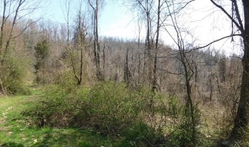 Photo #9 of US Hwy 19, Lebanon, VA 275.0 acres