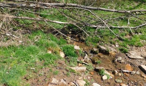 Photo #10 of US Hwy 19, Lebanon, VA 275.0 acres