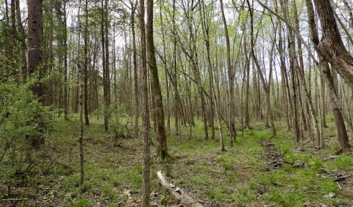 Photo #4 of SOLD property in 21 Davenport Rd, Cumberland, VA 5.0 acres