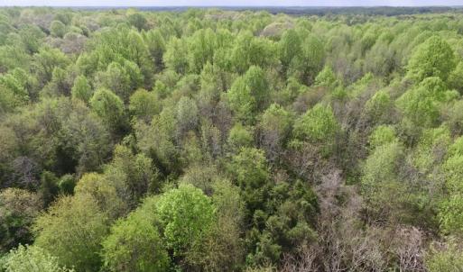 Photo #3 of SOLD property in 21 Davenport Rd, Cumberland, VA 5.0 acres