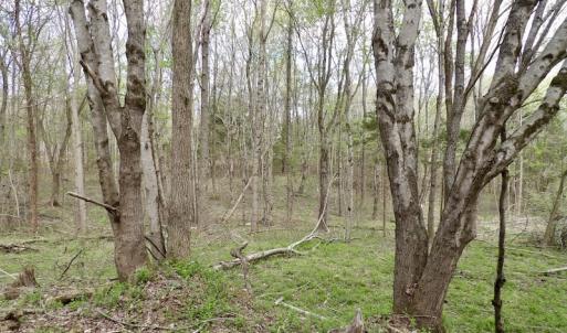 Photo #5 of SOLD property in 21 Davenport Rd, Cumberland, VA 5.0 acres