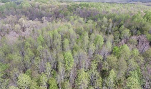 Photo #8 of SOLD property in 21 Davenport Rd, Cumberland, VA 5.0 acres