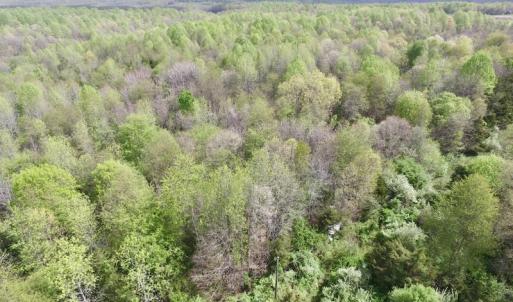 Photo #10 of SOLD property in 21 Davenport Rd, Cumberland, VA 5.0 acres