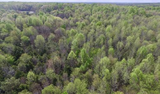 Photo #11 of SOLD property in 21 Davenport Rd, Cumberland, VA 5.0 acres