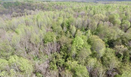 Photo #12 of SOLD property in 21 Davenport Rd, Cumberland, VA 5.0 acres