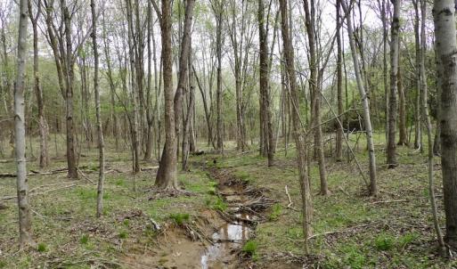Photo #14 of SOLD property in 21 Davenport Rd, Cumberland, VA 5.0 acres