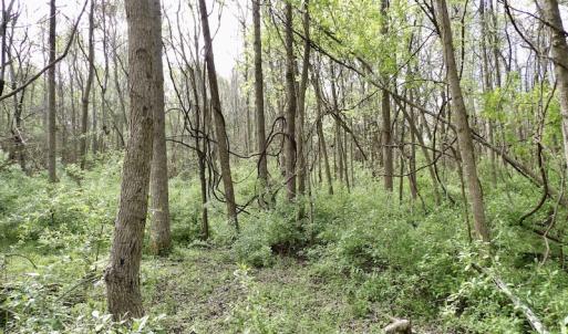 Photo #15 of SOLD property in 21 Davenport Rd, Cumberland, VA 5.0 acres