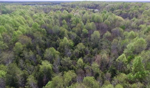 Photo #18 of SOLD property in 21 Davenport Rd, Cumberland, VA 5.0 acres