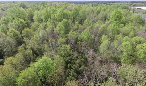 Photo #20 of SOLD property in 21 Davenport Rd, Cumberland, VA 5.0 acres