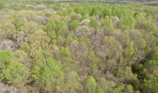 Photo #25 of SOLD property in 21 Davenport Rd, Cumberland, VA 5.0 acres