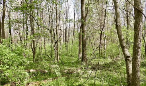 Photo #26 of SOLD property in 21 Davenport Rd, Cumberland, VA 5.0 acres