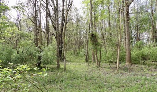 Photo #29 of SOLD property in 21 Davenport Rd, Cumberland, VA 5.0 acres