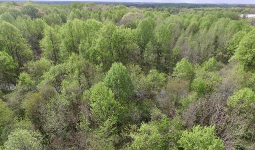 Photo #30 of SOLD property in 21 Davenport Rd, Cumberland, VA 5.0 acres