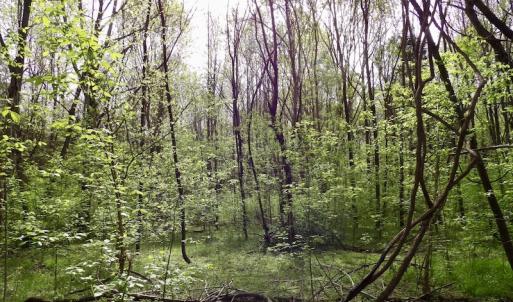 Photo #31 of SOLD property in 21 Davenport Rd, Cumberland, VA 5.0 acres