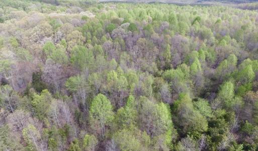 Photo #33 of SOLD property in 21 Davenport Rd, Cumberland, VA 5.0 acres