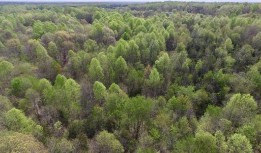 Photo #3 of SOLD property in 22 Davenport Rd, Cumberland, VA 5.0 acres