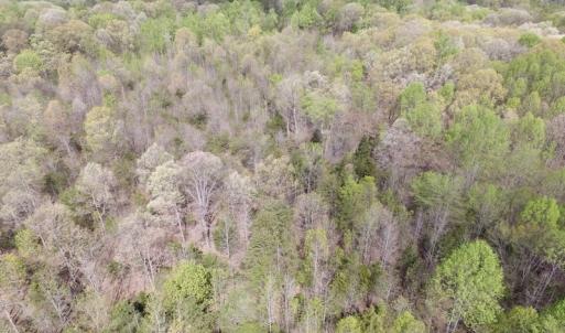 Photo #8 of SOLD property in 22 Davenport Rd, Cumberland, VA 5.0 acres