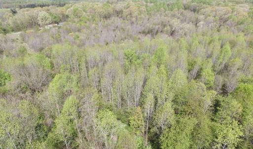 Photo #11 of SOLD property in 22 Davenport Rd, Cumberland, VA 5.0 acres