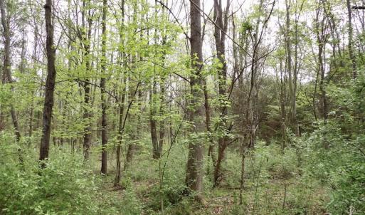 Photo #5 of SOLD property in 22 Davenport Rd, Cumberland, VA 5.0 acres