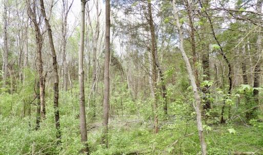 Photo #13 of SOLD property in 22 Davenport Rd, Cumberland, VA 5.0 acres