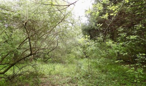 Photo #14 of SOLD property in 22 Davenport Rd, Cumberland, VA 5.0 acres