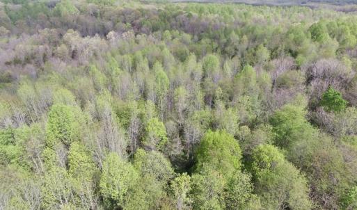 Photo #15 of SOLD property in 22 Davenport Rd, Cumberland, VA 5.0 acres