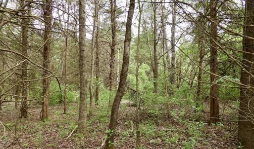 Photo #16 of SOLD property in 22 Davenport Rd, Cumberland, VA 5.0 acres