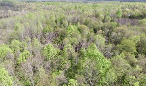 Photo #17 of SOLD property in 22 Davenport Rd, Cumberland, VA 5.0 acres