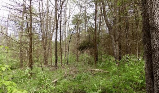 Photo #28 of SOLD property in 22 Davenport Rd, Cumberland, VA 5.0 acres