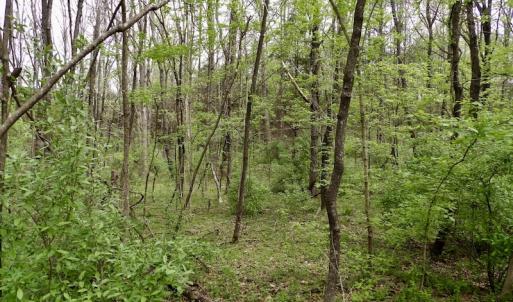 Photo #29 of SOLD property in 22 Davenport Rd, Cumberland, VA 5.0 acres