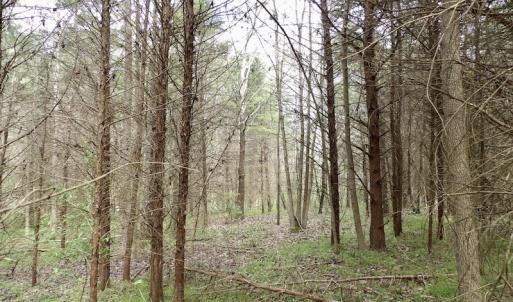 Photo #30 of SOLD property in 22 Davenport Rd, Cumberland, VA 5.0 acres