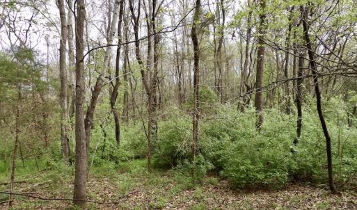 Photo #32 of SOLD property in 22 Davenport Rd, Cumberland, VA 5.0 acres