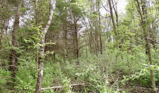 Photo #33 of SOLD property in 22 Davenport Rd, Cumberland, VA 5.0 acres
