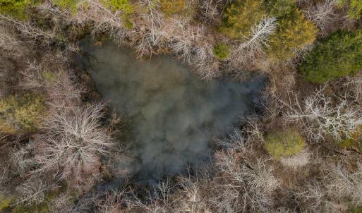 Photo #34 of SOLD property in 9094 Shotwell Road, Roxboro, NC 47.7 acres