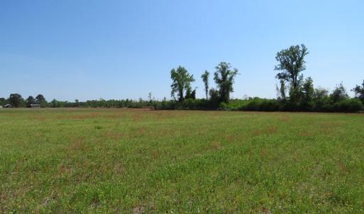 Photo #4 of SOLD property in Boyd Road, Fairmont, NC 20.1 acres